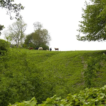 Juhl's Kolding